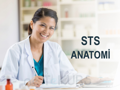 Online STS Eczacılık Anatomi Dersleri, STS Eczacılık Anatomi Uzaktan Eğitim Dersleri